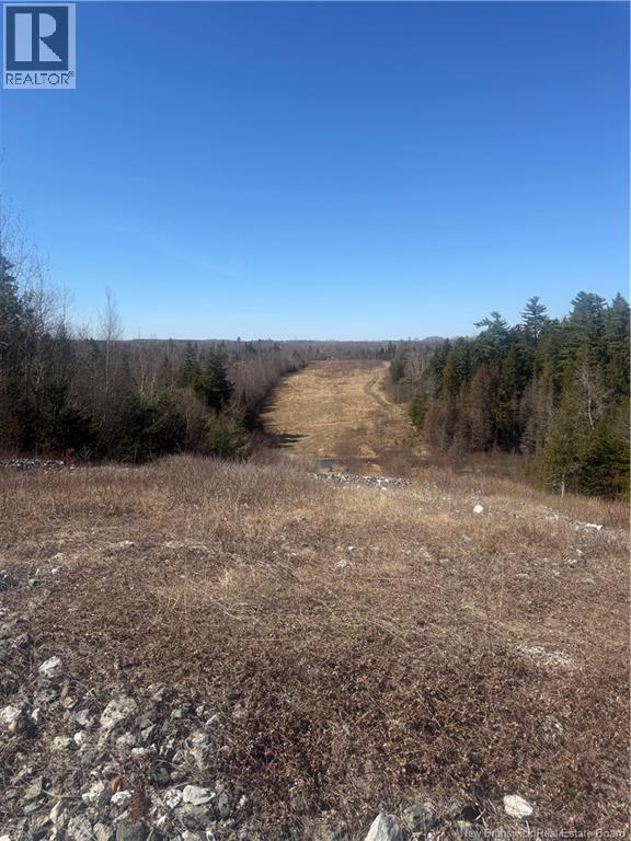 Vacant Land Route 785, Mcdougall Lake, New Brunswick  E6B 2C5 - Photo 6 - NB137919
