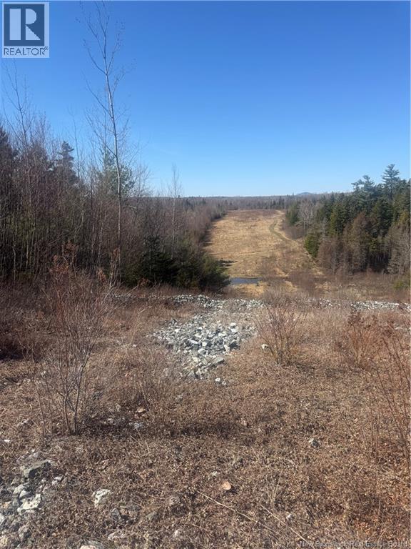 Vacant Land Route 785, Mcdougall Lake, New Brunswick  E6B 2C5 - Photo 4 - NB137919