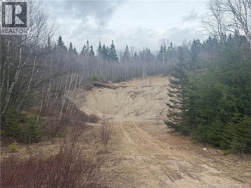 Vacant Land Route 785, Mcdougall Lake, New Brunswick  E6B 2C5 - Photo 3 - NB137919
