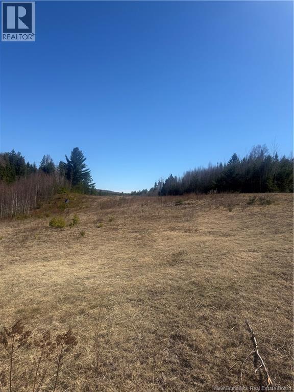 Vacant Land Route 785, Mcdougall Lake, New Brunswick  E6B 2C5 - Photo 5 - NB137919