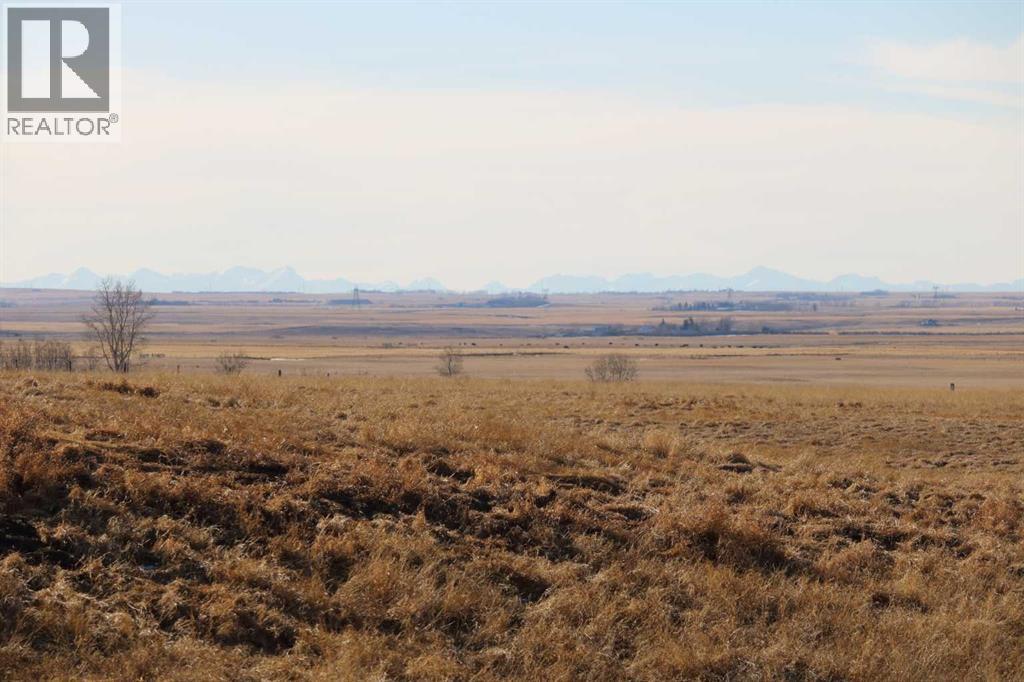 447 Henricks Drive, Irricana, Alberta  T0M 1B0 - Photo 25 - A2287250