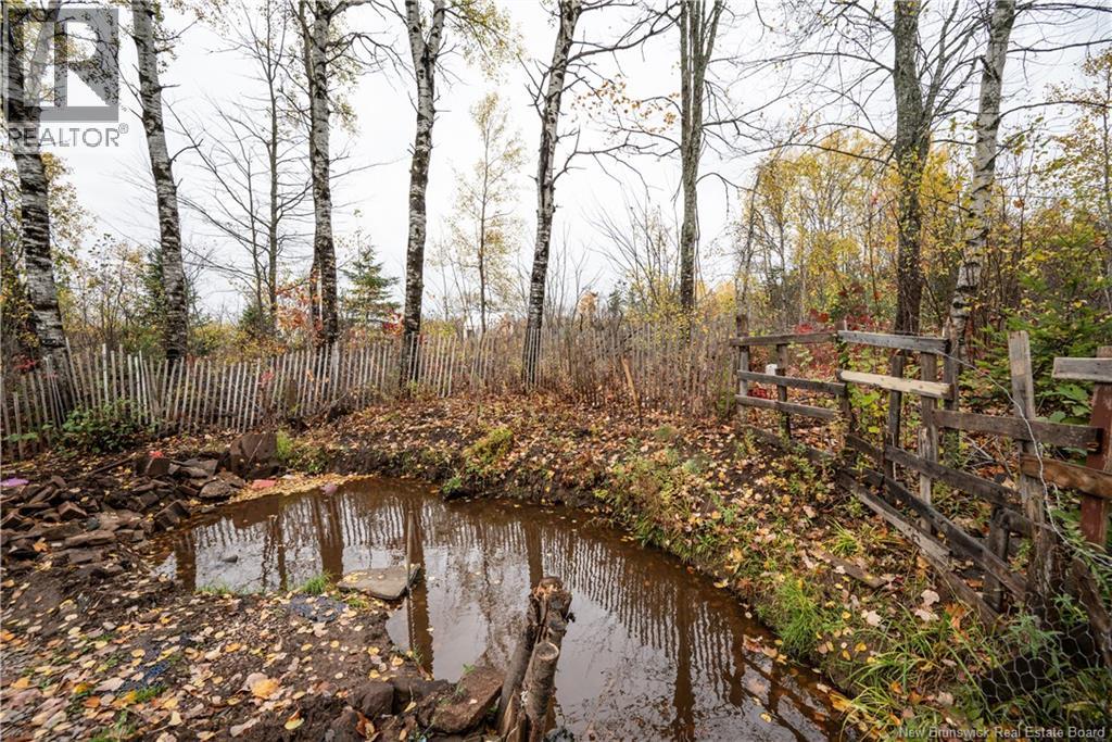232 Route 905, Forest Glen, New Brunswick  E4Z 6C3 - Photo 8 - NB128101