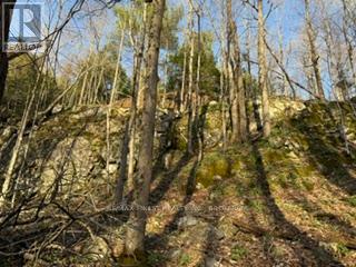 3439 County Rd 3, Leeds And The Thousand Islands, Ontario  K0E 1N0 - Photo 22 - X13112320