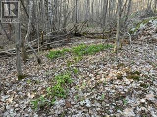 3439 County Rd 3, Leeds And The Thousand Islands, Ontario  K0E 1N0 - Photo 20 - X13112320