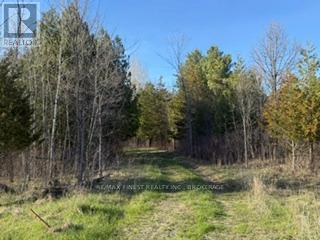 3439 County Rd 3, Leeds And The Thousand Islands, Ontario  K0E 1N0 - Photo 7 - X13112320