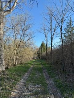 3439 County Rd 3, Leeds And The Thousand Islands, Ontario  K0E 1N0 - Photo 8 - X13112320