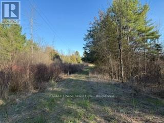 3439 County Rd 3, Leeds And The Thousand Islands, Ontario  K0E 1N0 - Photo 6 - X13112320