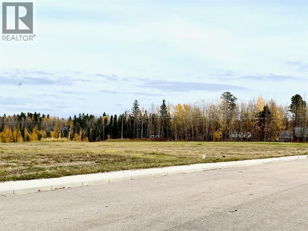 4208 52a Avenue, Rocky Mountain House, Alberta  T4T 1B4 - Photo 4 - A2126991