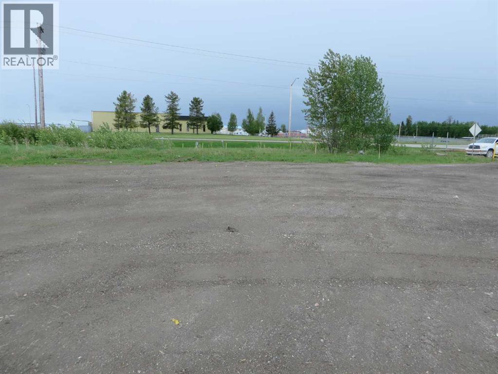 4208 52a Avenue, Rocky Mountain House, Alberta  T4T 1B4 - Photo 13 - A2126991