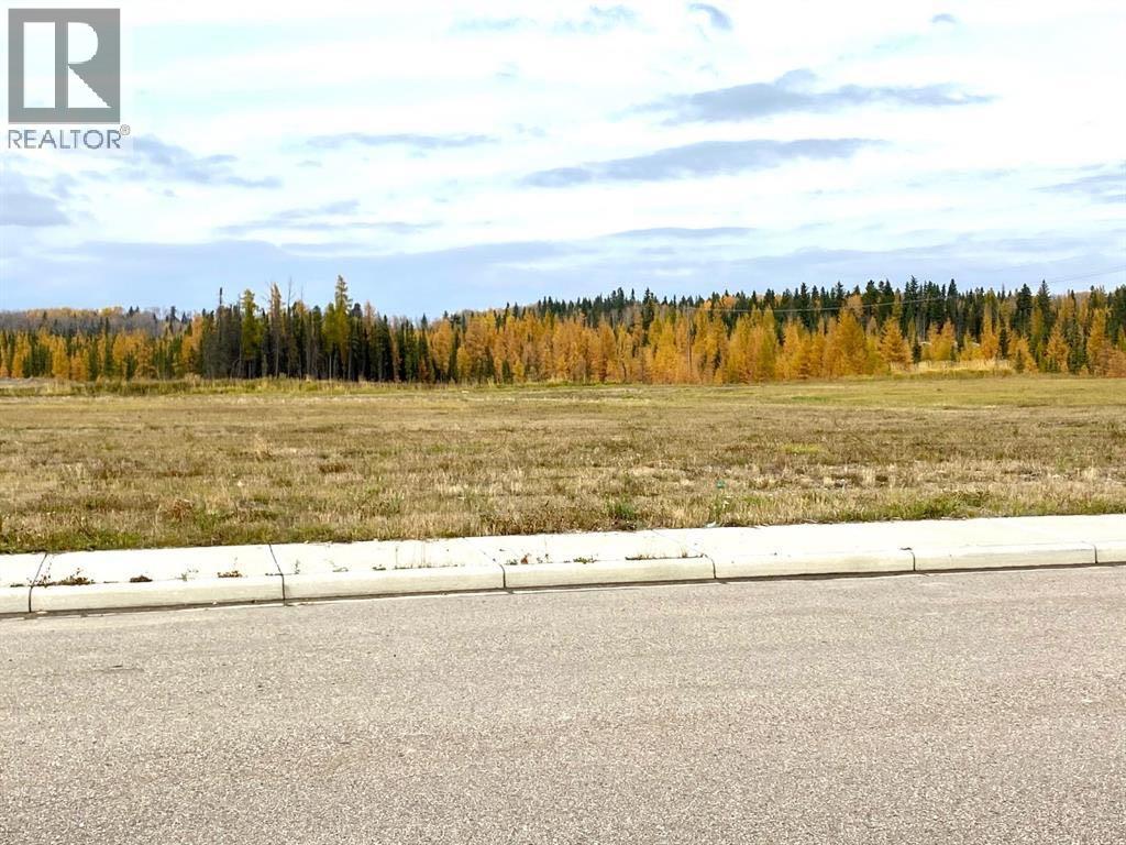 4208 52a Avenue, Rocky Mountain House, Alberta  T4T 1B4 - Photo 3 - A2126991