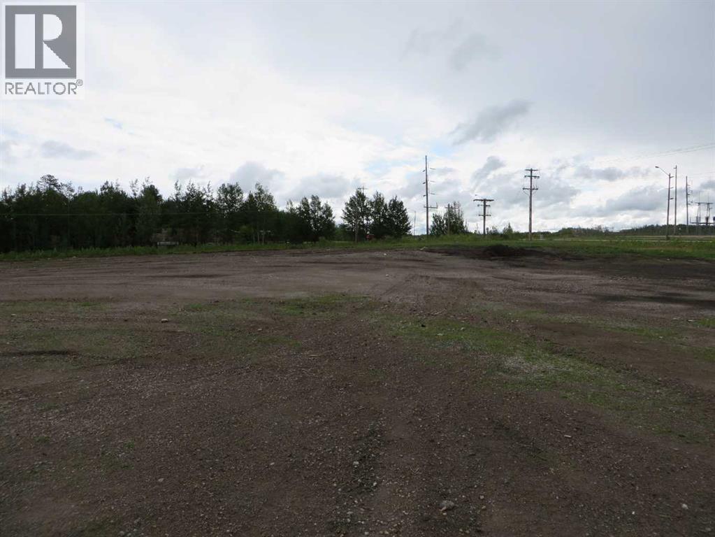 4208 52a Avenue, Rocky Mountain House, Alberta  T4T 1B4 - Photo 19 - A2126991