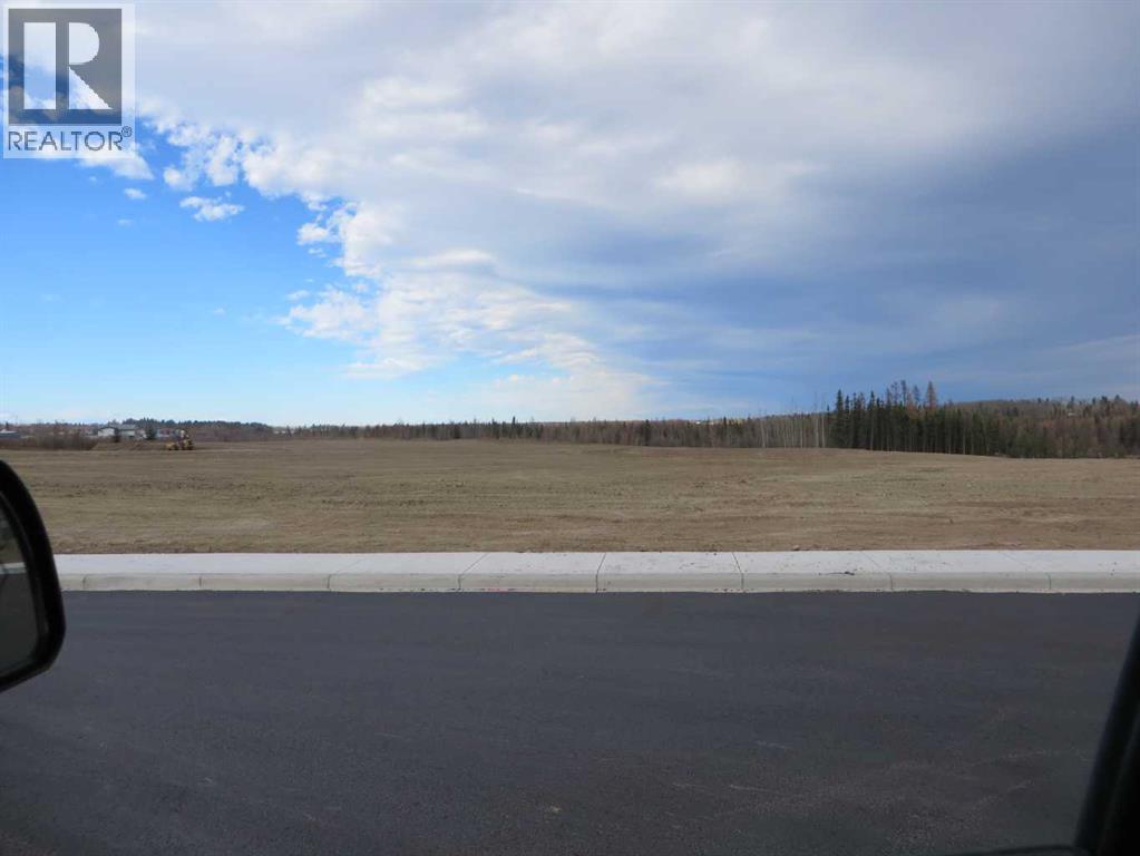 4208 52a Avenue, Rocky Mountain House, Alberta  T4T 1B4 - Photo 29 - A2126991