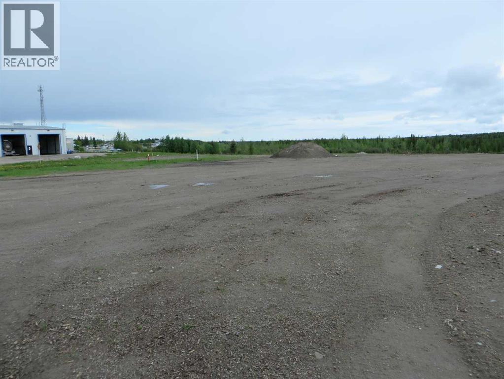 4208 52a Avenue, Rocky Mountain House, Alberta  T4T 1B4 - Photo 16 - A2126991