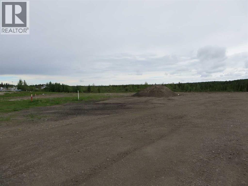 4208 52a Avenue, Rocky Mountain House, Alberta  T4T 1B4 - Photo 25 - A2126991