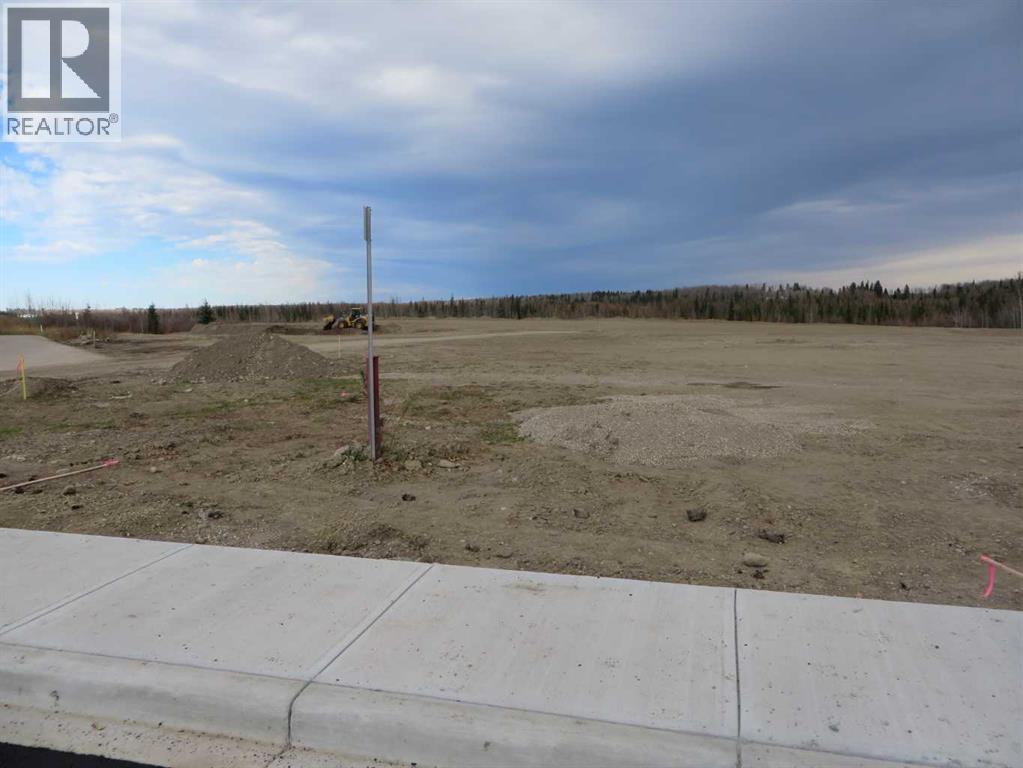 4208 52a Avenue, Rocky Mountain House, Alberta  T4T 1B4 - Photo 31 - A2126991