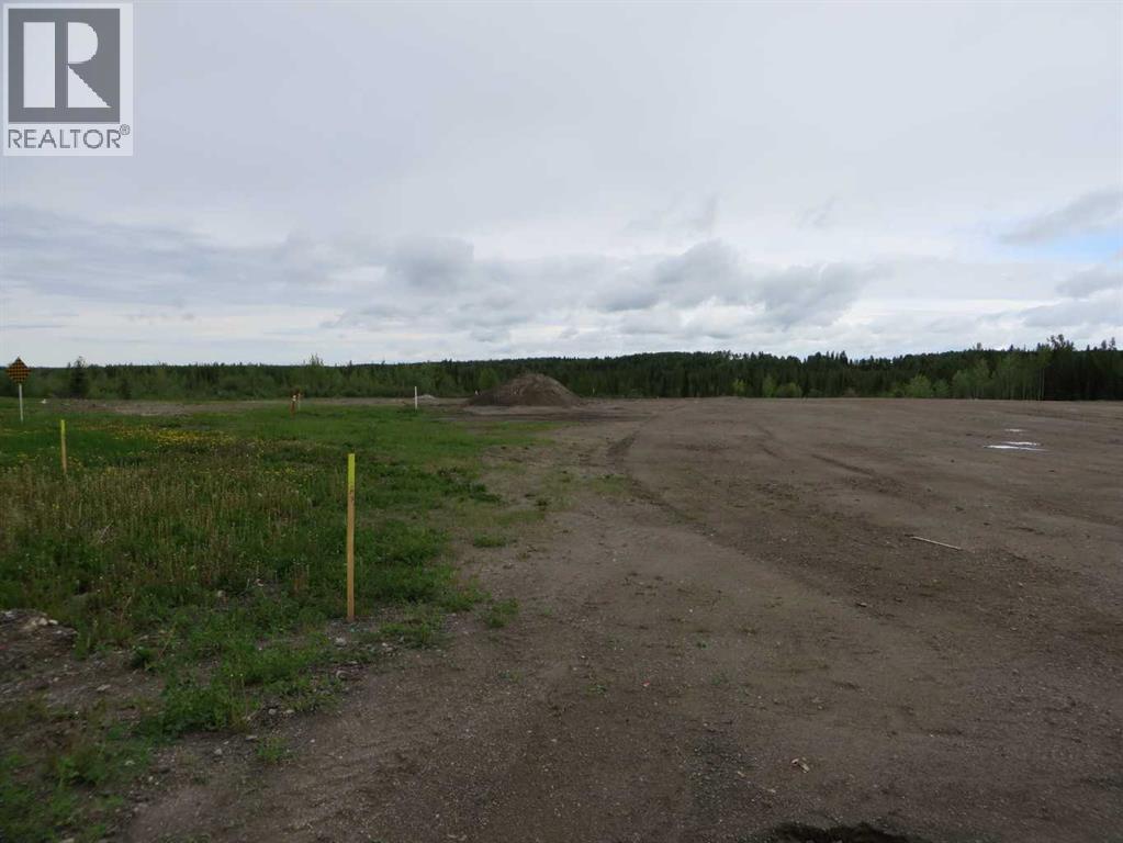 4208 52a Avenue, Rocky Mountain House, Alberta  T4T 1B4 - Photo 9 - A2126991