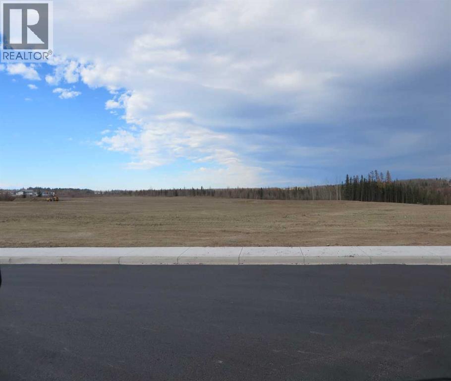 4208 52a Avenue, Rocky Mountain House, Alberta  T4T 1B4 - Photo 28 - A2126991