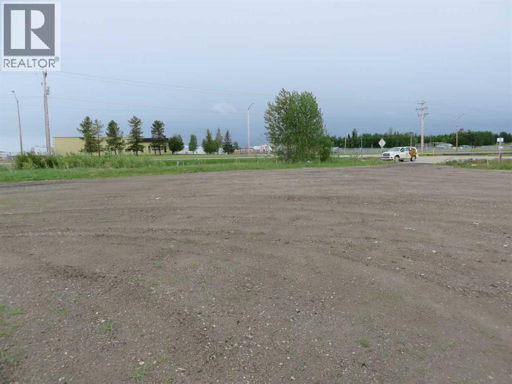 4208 52a Avenue, Rocky Mountain House, Alberta  T4T 1B4 - Photo 21 - A2126991