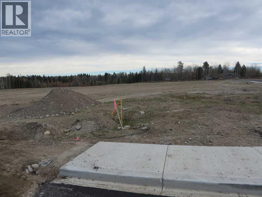 4208 52a Avenue, Rocky Mountain House, Alberta  T4T 1B4 - Photo 27 - A2126991