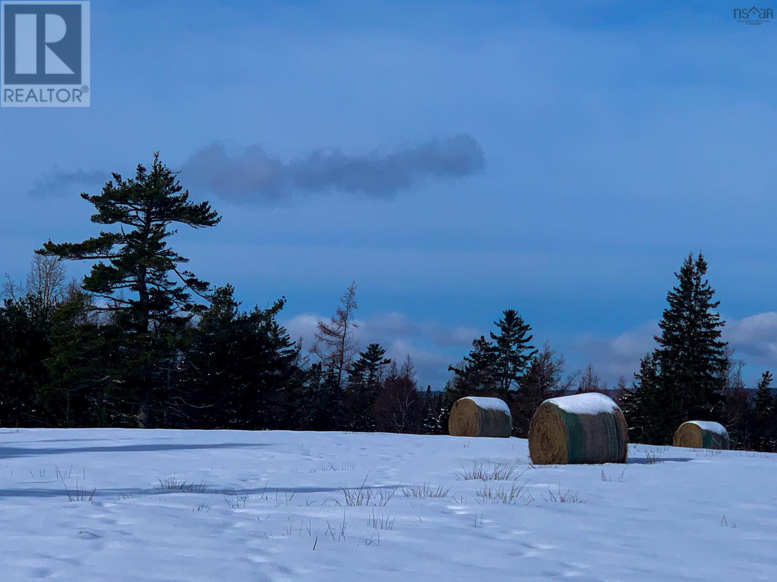 10353 Marble Mountain Road, Orangedale, Nova Scotia  B0E 2K0 - Photo 45 - 202527240