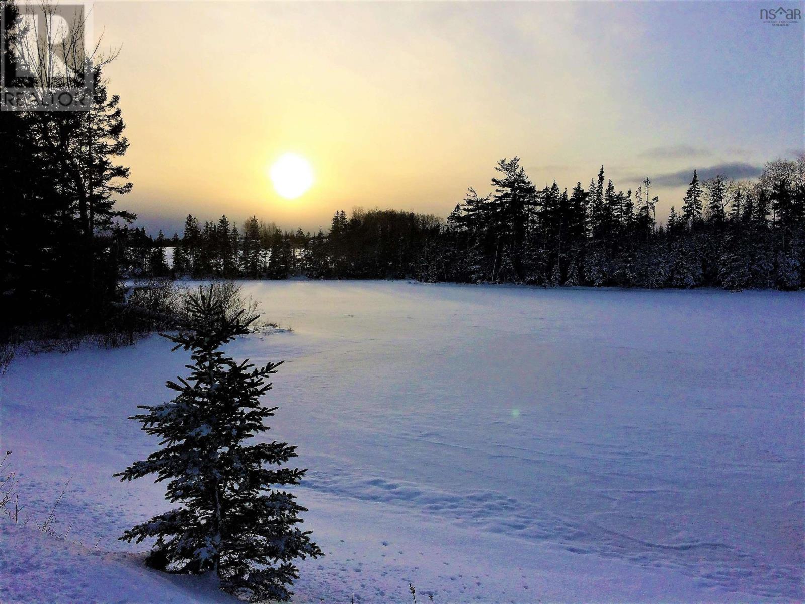 10353 Marble Mountain Road, Orangedale, Nova Scotia  B0E 2K0 - Photo 47 - 202527240
