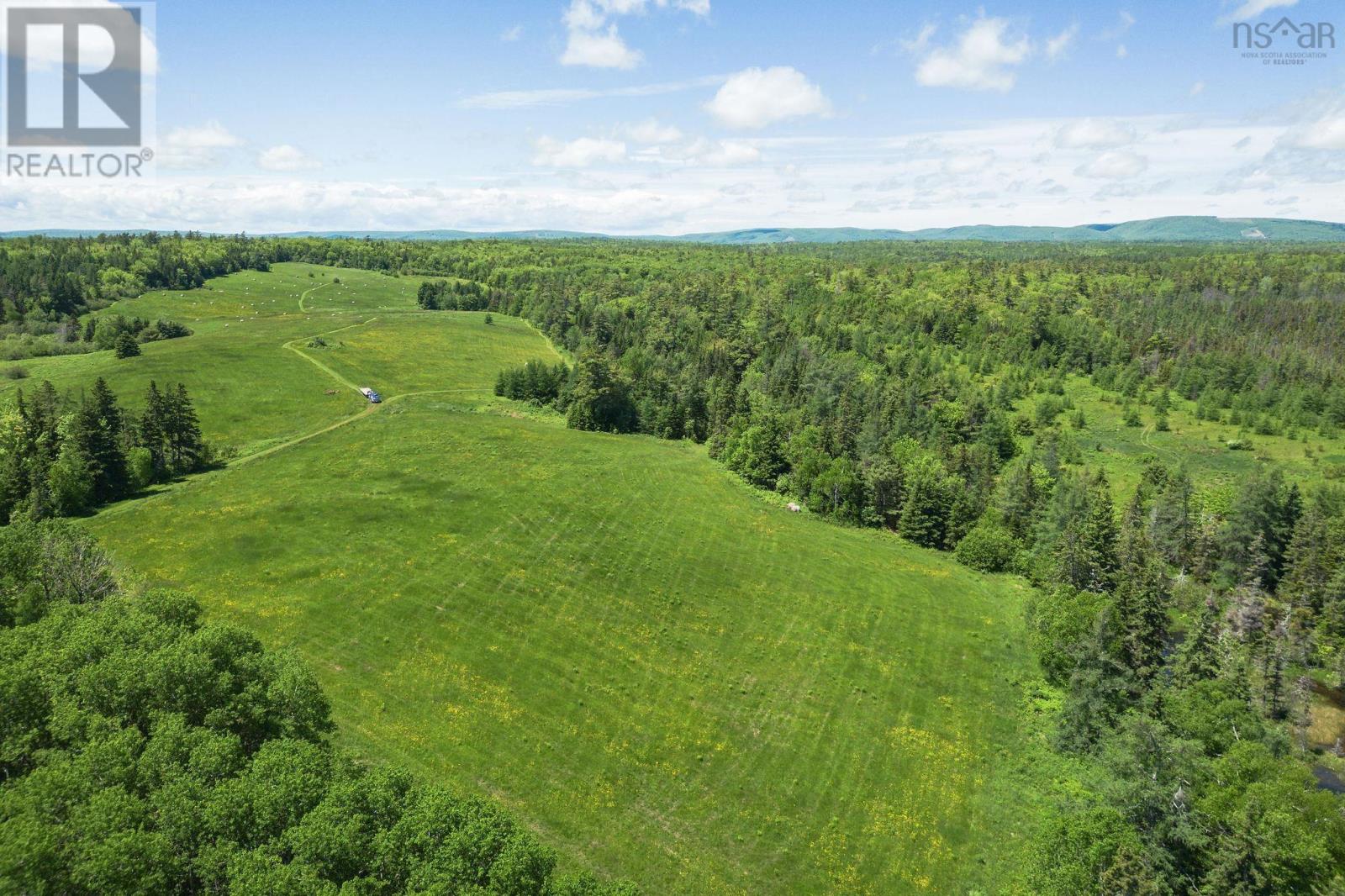 10353 Marble Mountain Road, Orangedale, Nova Scotia  B0E 2K0 - Photo 43 - 202527288
