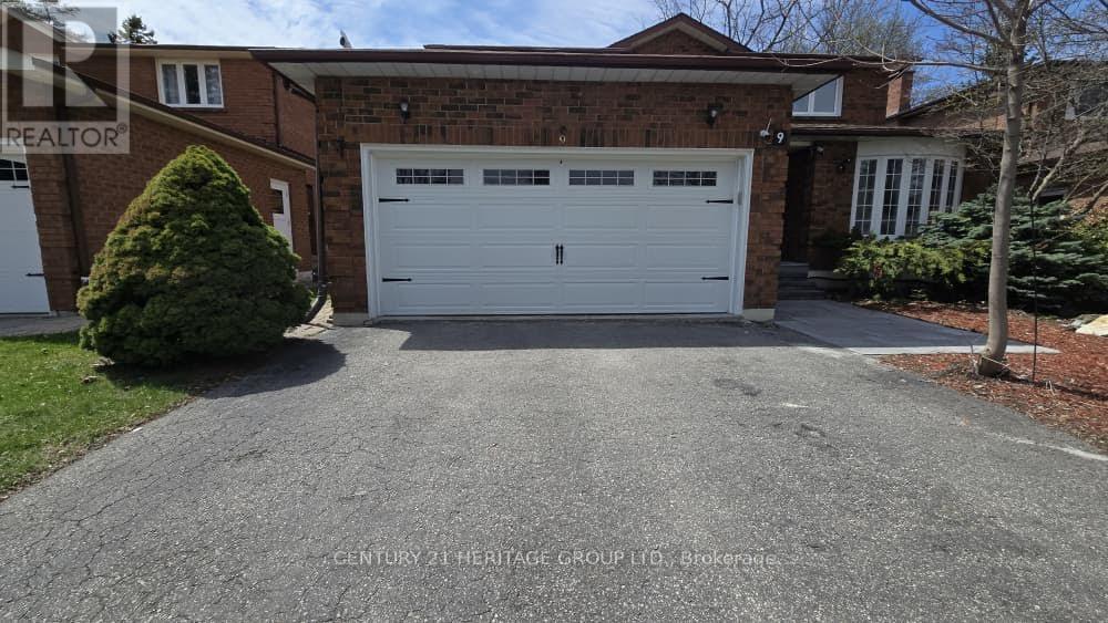 Bsmt - 9 Addison Street, Richmond Hill (North Richvale), Ontario  L4C 7M2 - Photo 1 - N13118018