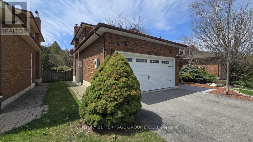 Bsmt - 9 Addison Street, Richmond Hill (North Richvale), Ontario  L4C 7M2 - Photo 2 - N13118018