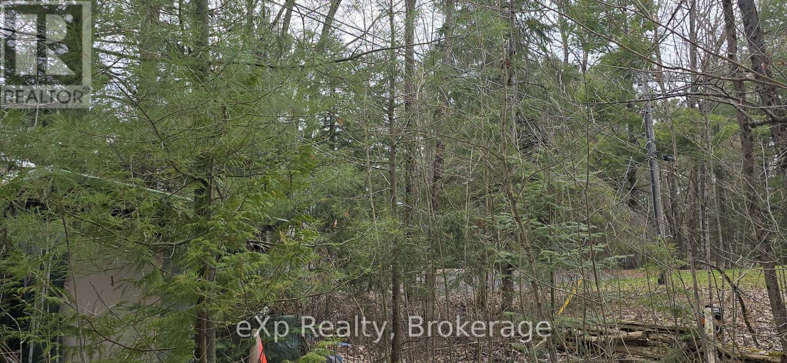 40 Sharon Park Drive, Mckellar, Ontario  P0G 1C0 - Photo 7 - X13118168