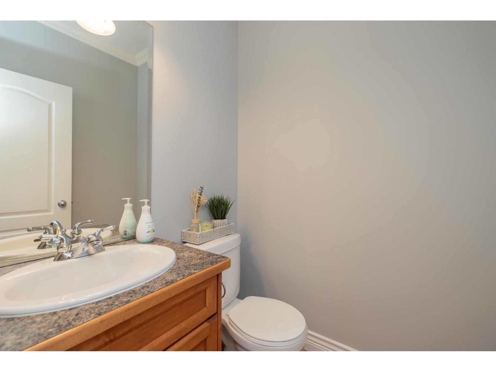 21665 95 Avenue, Langley, British Columbia  V1M 4E3 - Photo 17 - R3121938