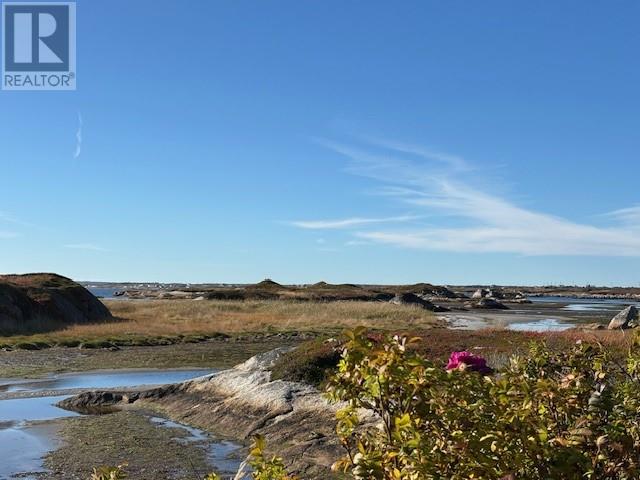 6 Blackmores Lane, New Wes Valley, Newfoundland & Labrador  A0G 3L0 - Photo 37 - 1296323