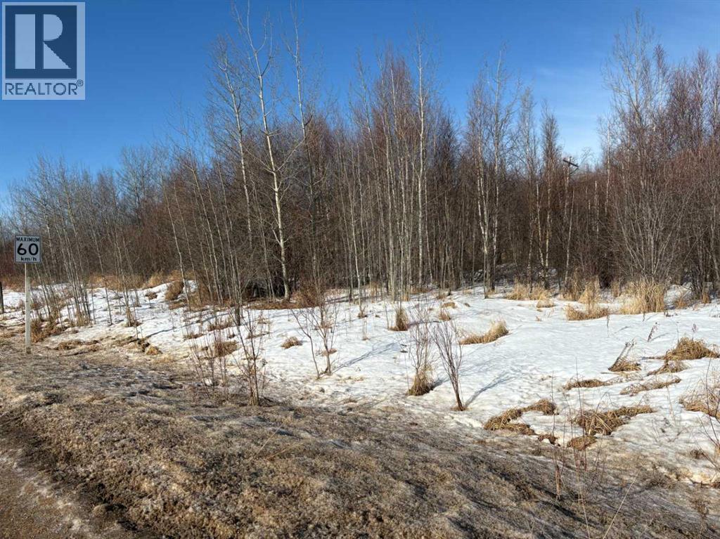 816 Misstassiniy Road, Wabasca, Alberta  T0G 2K0 - Photo 3 - A2197799