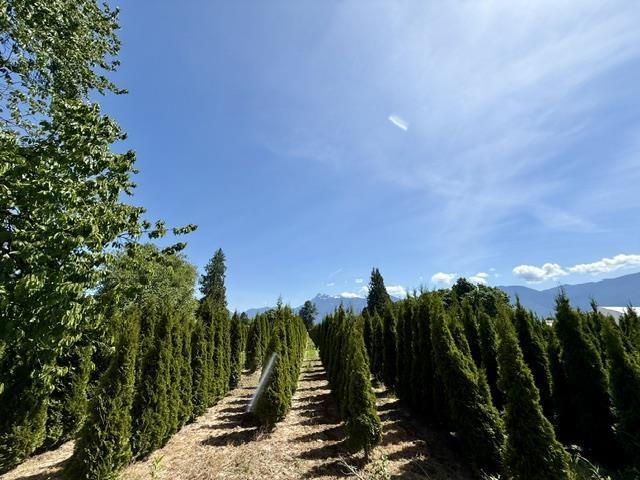 10555 Reeves Road, East Chilliwack, Chilliwack, British Columbia  V2P 6H4 - Photo 30 - R3122505