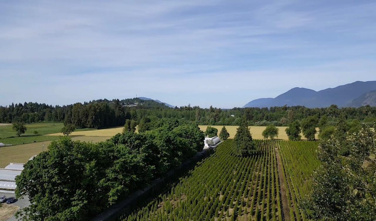 10555 Reeves Road, East Chilliwack, Chilliwack, British Columbia  V2P 6H4 - Photo 31 - R3122505