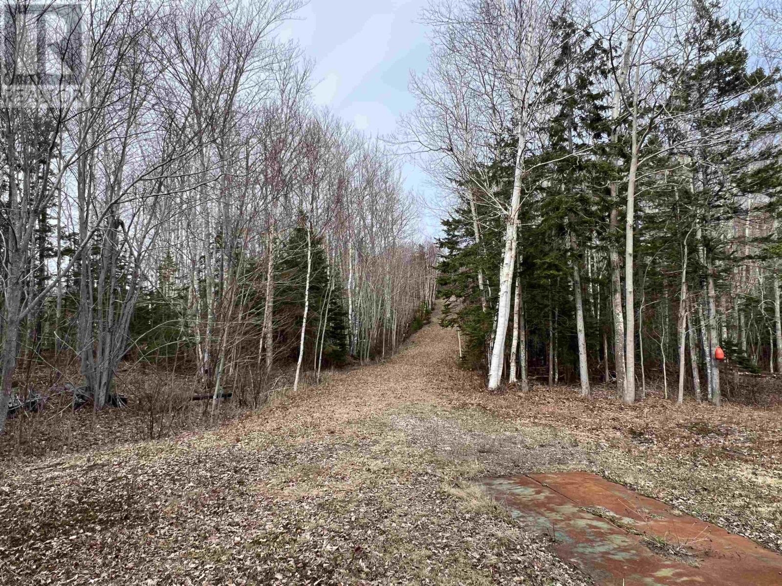 Old Mulgrave Road, Monastery, Nova Scotia  B0H 1W0 - Photo 34 - 202510167