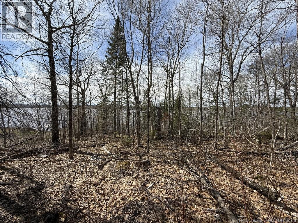 Lot 2010-01 Akerley Wharf Road, Cambridge-Narrows, New Brunswick  E4C 4E6 - Photo 13 - NB139017