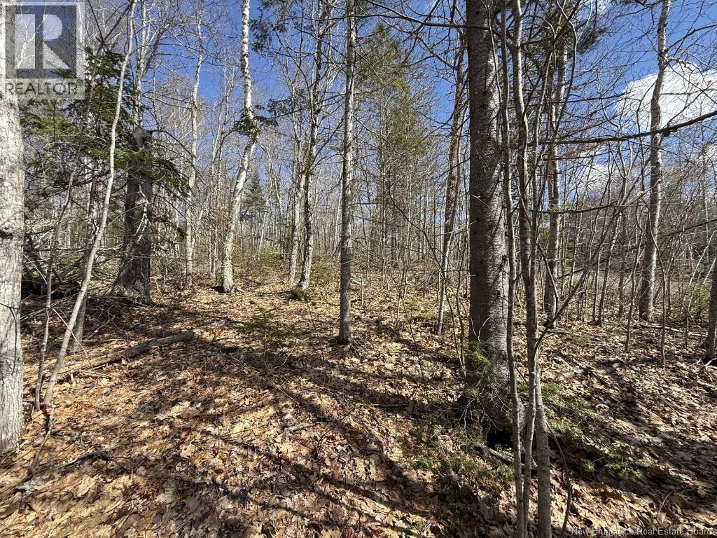 Lot 2010-01 Akerley Wharf Road, Cambridge-Narrows, New Brunswick  E4C 4E6 - Photo 14 - NB139017
