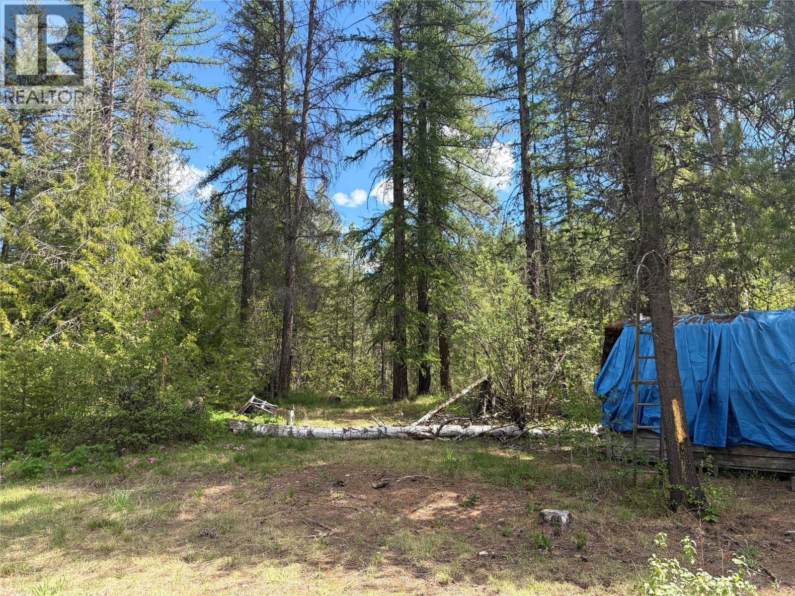 1868 Airport Road, Salmo, British Columbia  V0G 1Z0 - Photo 5 - 10387089