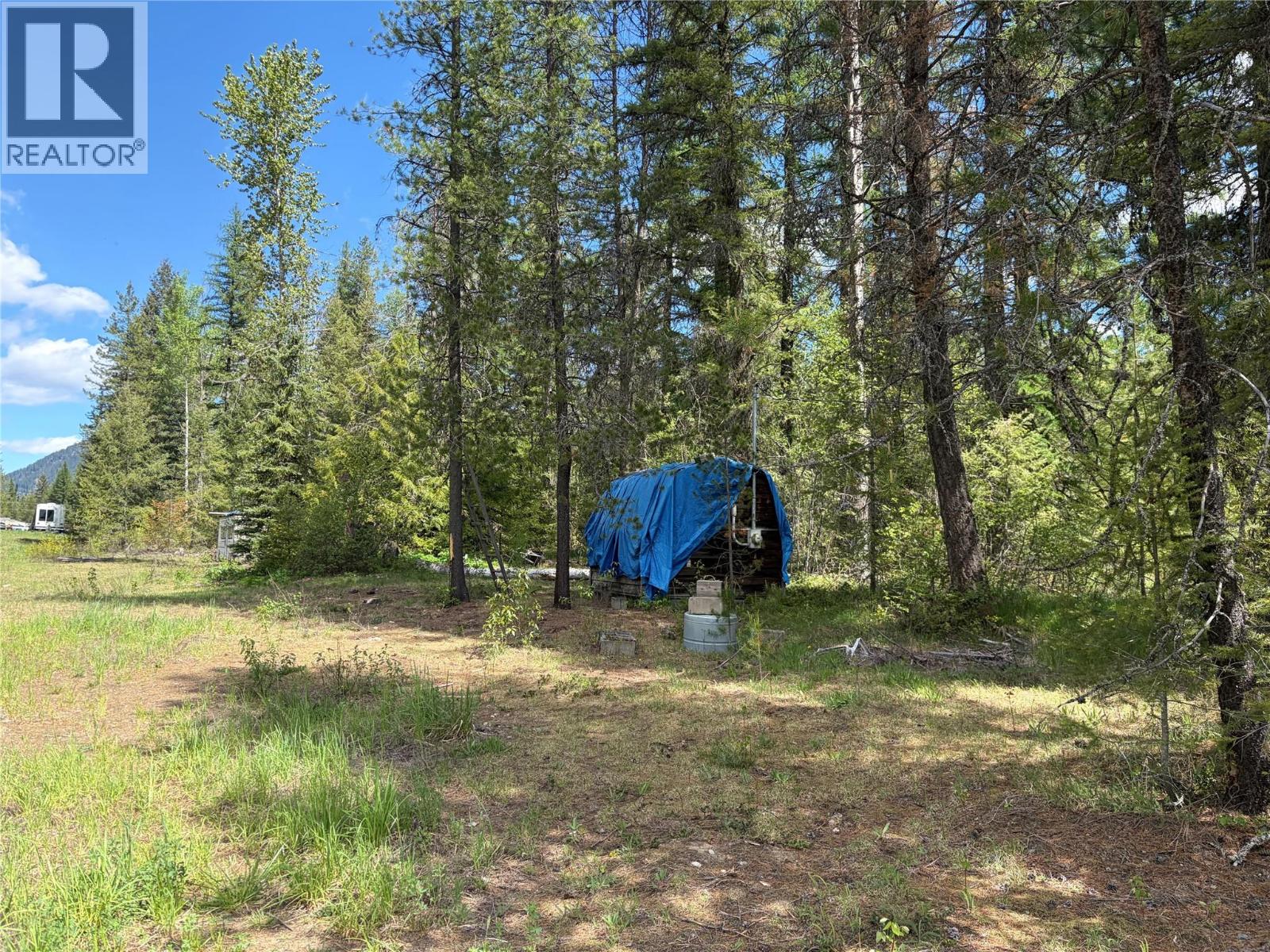 1868 Airport Road, Salmo, British Columbia  V0G 1Z0 - Photo 4 - 10387089