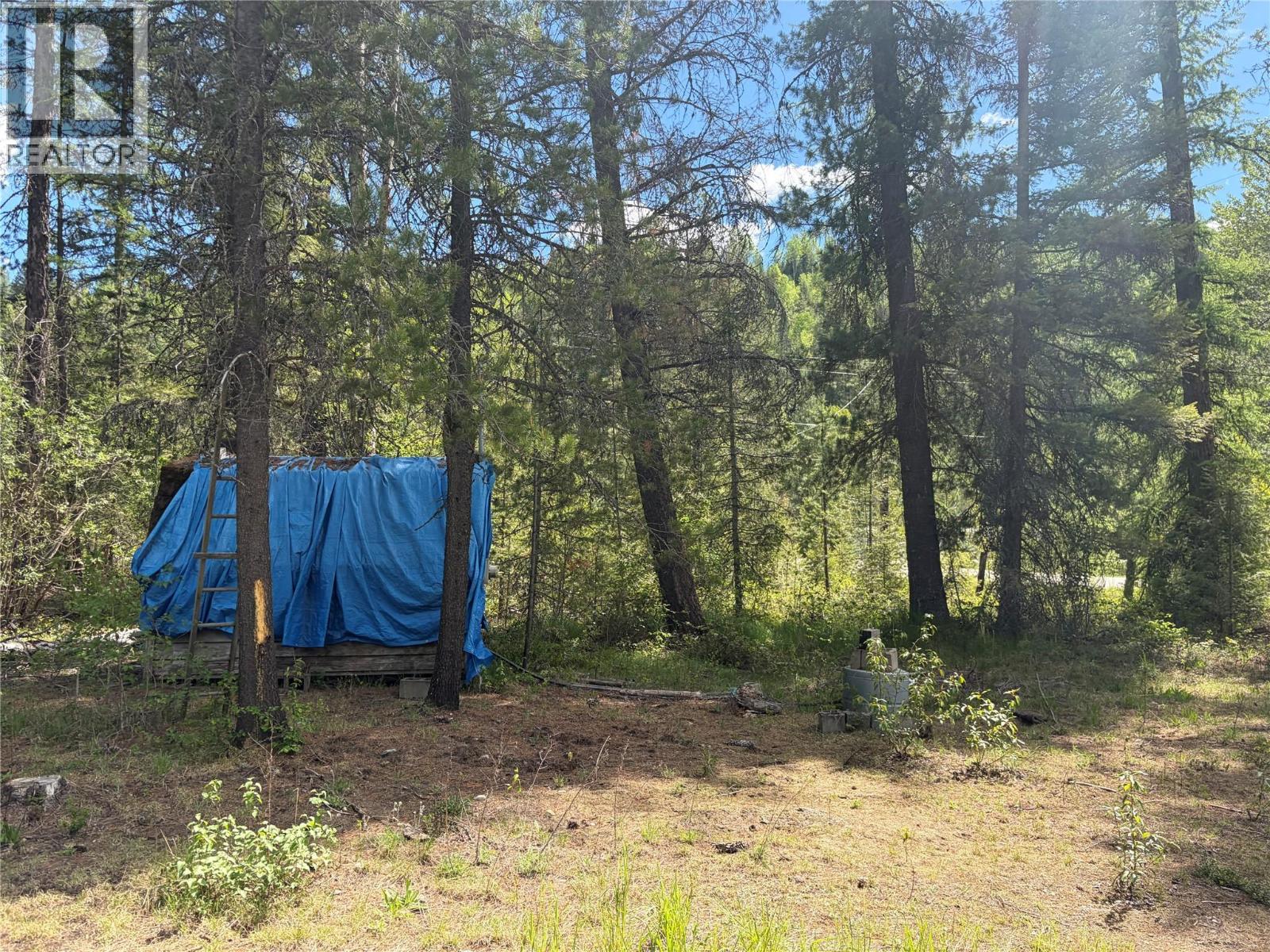 1868 Airport Road, Salmo, British Columbia  V0G 1Z0 - Photo 6 - 10387089