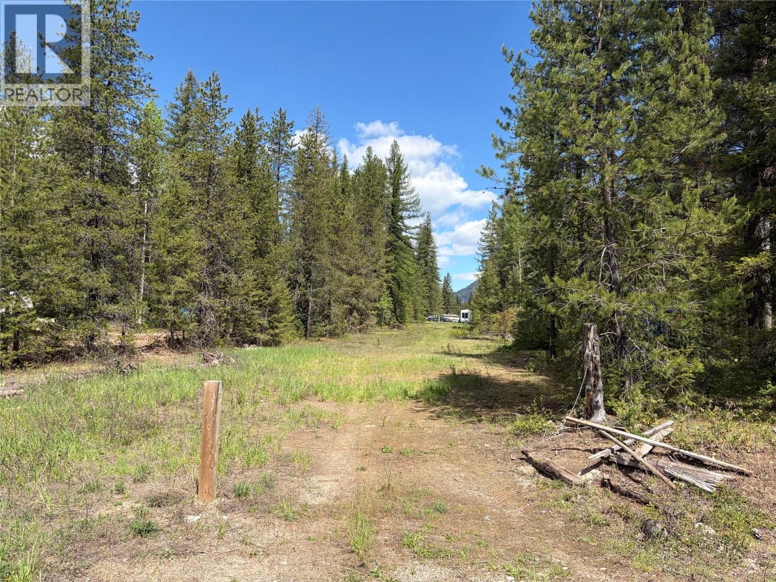 1868 Airport Road, Salmo, British Columbia  V0G 1Z0 - Photo 3 - 10387089