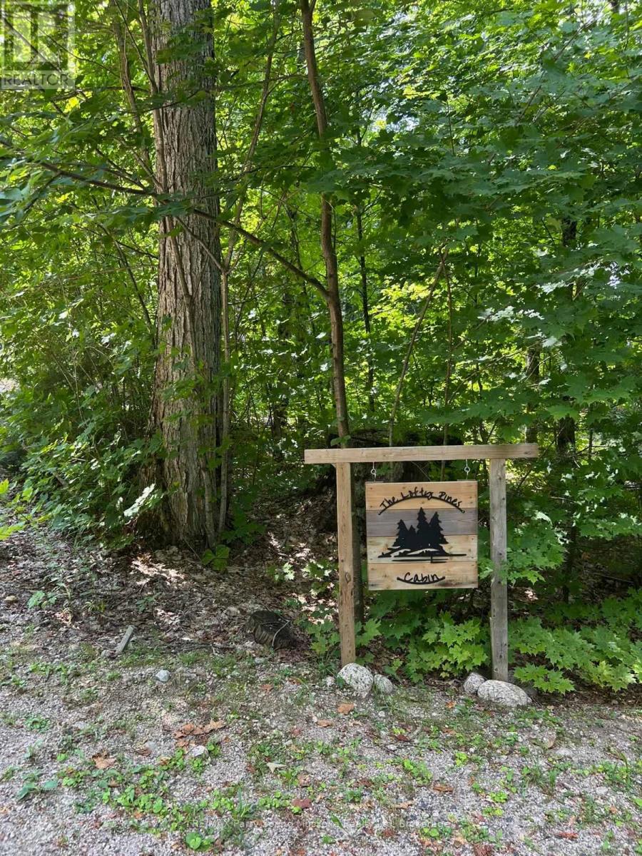 3256 Machar Strong Boundary Road, Parry Sound Remote Area, Ontario  P0A 1X0 - Photo 35 - X13090626