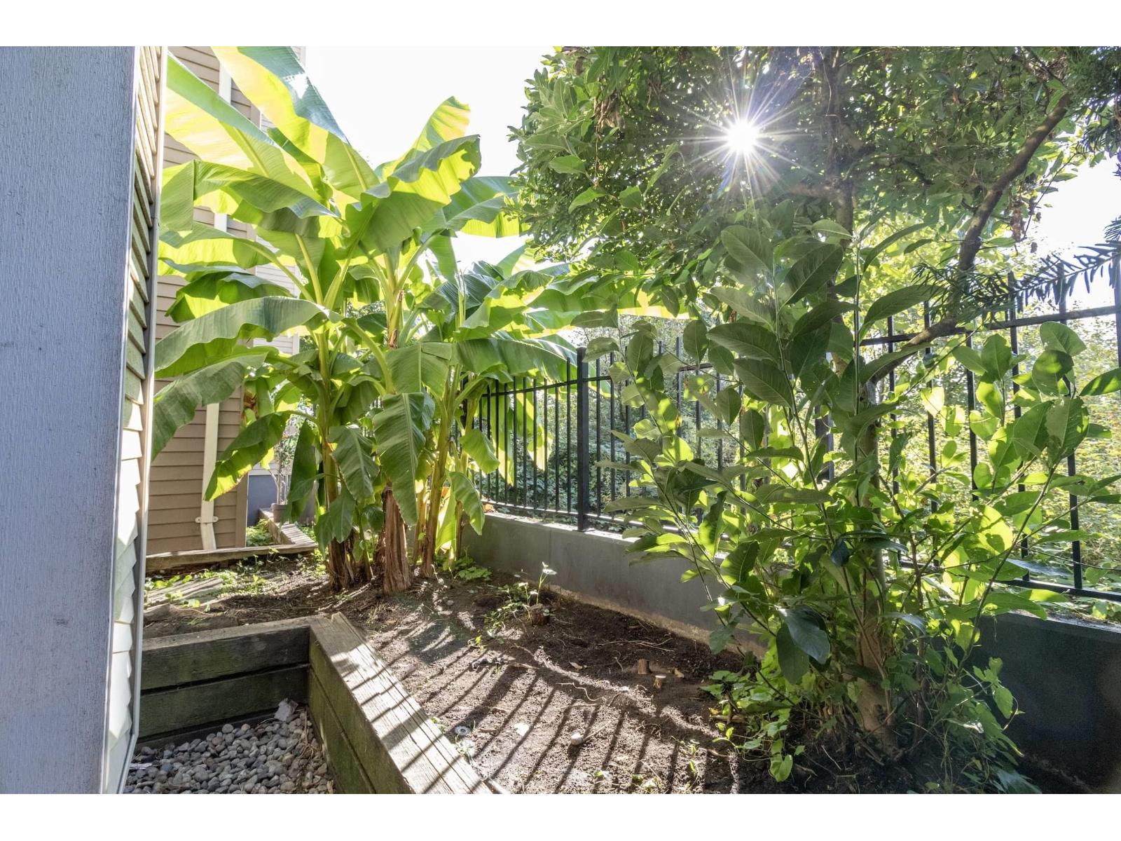 C111 8929 202 Street, Langley, British Columbia  V1M 0B4 - Photo 28 - R3097780