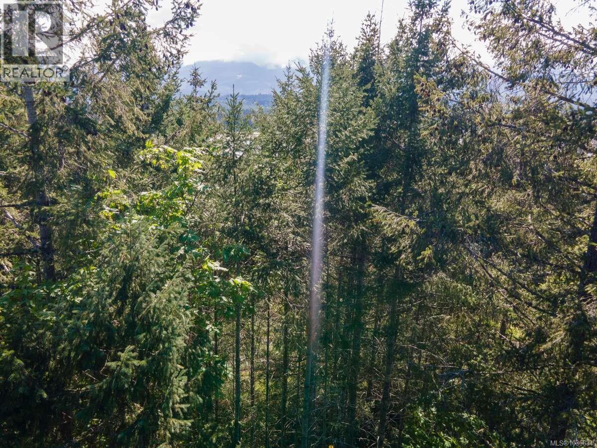 9 Tozer Rd, Fanny Bay, British Columbia V0R 1W0 - Photo 7 - 1036634