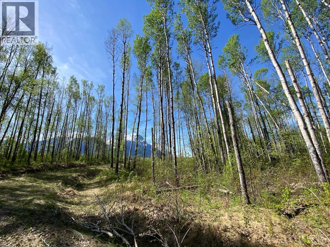 6048 Six Mile Road, Hazelton, British Columbia  V0J 1Y1 - Photo 15 - R3122245
