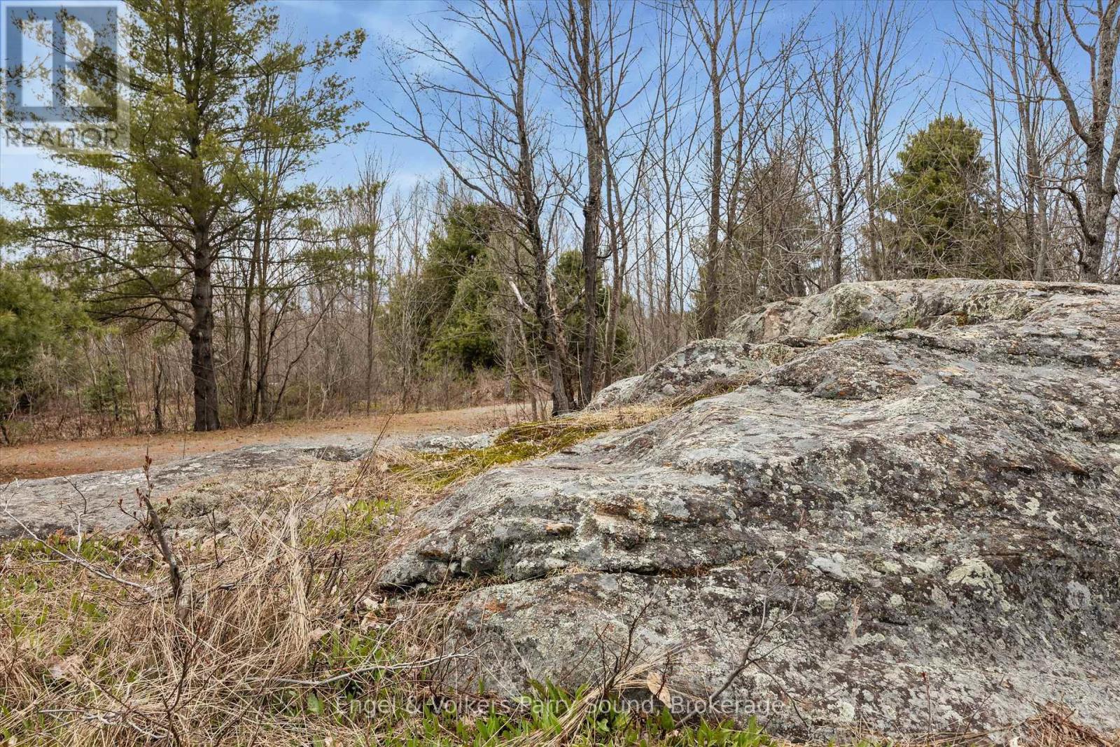185 Loch Erne Road, Mcdougall, Ontario  P2A 2W7 - Photo 18 - X13119124