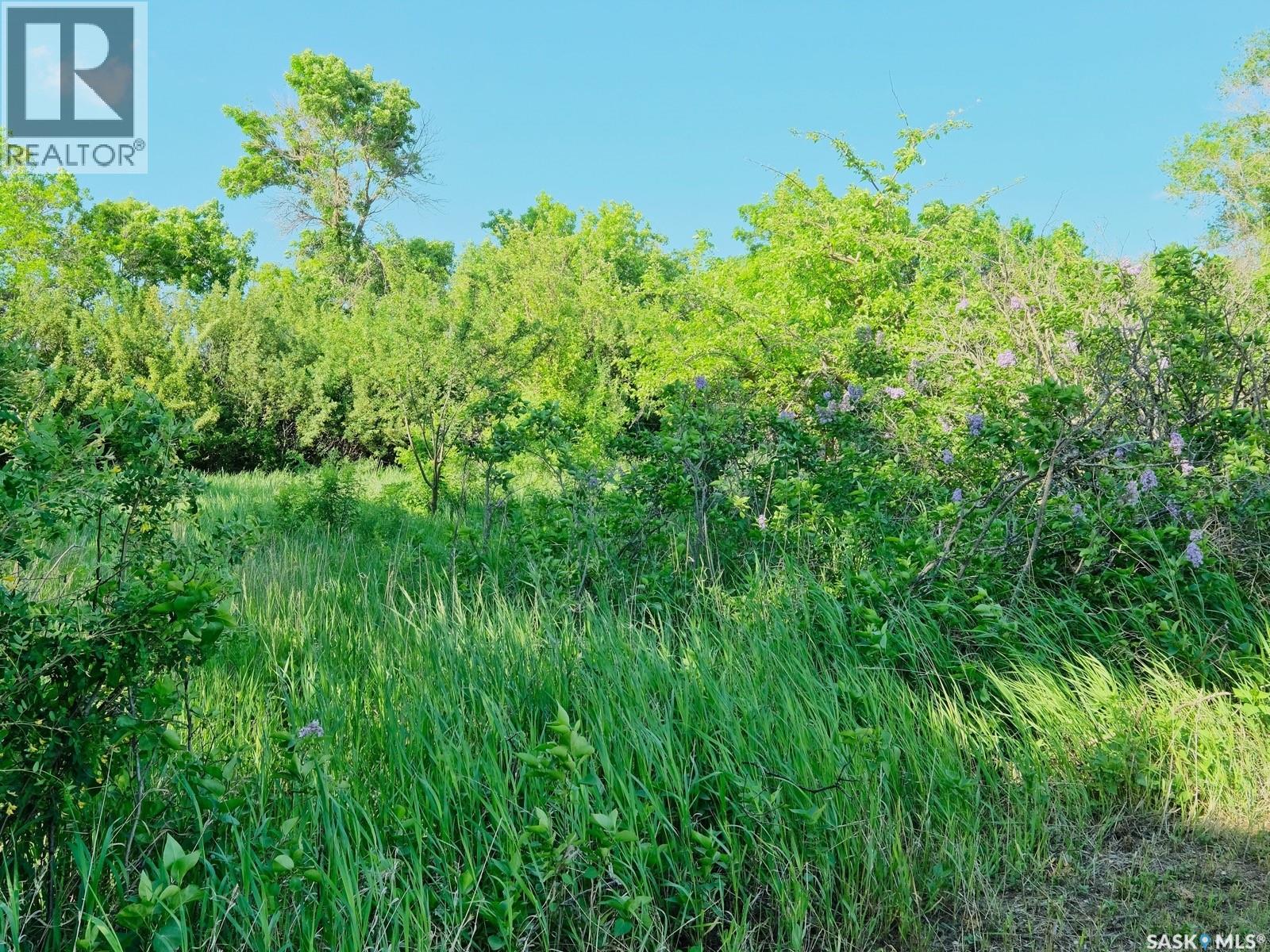 North Biggar Acreage, Biggar Rm No. 347, Saskatchewan  S0K 0M0 - Photo 47 - SK035746