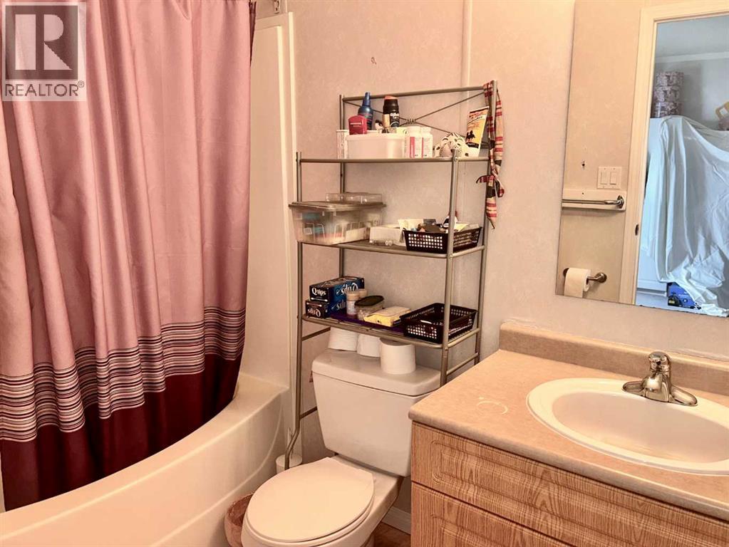 10317 Township Road 512, Rural Minburn No. 27, Alberta  T0B 2G0 - Photo 16 - A2242674