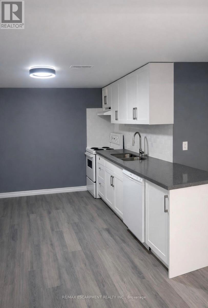 Lower - 23 Ivanhoe Road, Brantford, Ontario  N3R 6T9 - Photo 7 - X13119106