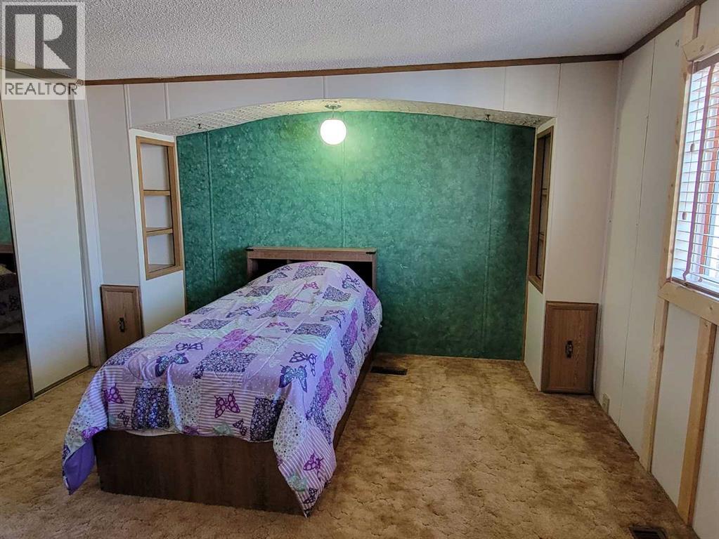 112 3 Avenue E, Alliance, Alberta  T0B 0A0 - Photo 20 - A2310101